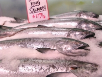 King Salmon at Pikes Place Market Seattle