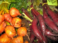 Local organic beets at Nash Farm in Sequim