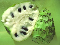 Cherimoya Tropical fruit from Borrego Springs market