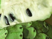 Cherimoya Tropical fruit from Borrego Springs market