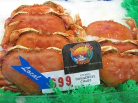 Fresh Local Dungenous Crab Eureka, CA