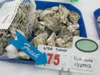 Fresh Humboldt Bay Kumumoto Oysters
