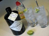 Hendricks Gin and Tonic with Key Lime