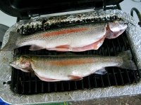 Vickers Ranch Lake City Colorado Trout RVQ Dinner