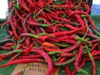 Borrego Springs CA Farmes Market Fresh Red Chile