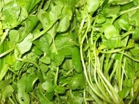 Fresh Creasy Greens from Virginia Farm Stand