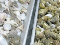 Fresh Mystery Seafood at H Mart Asian Market  Los Angeles