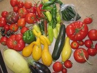 Fresh Home Garden Veggies