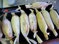 Homemade Green Chile Tamales in RV