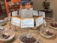 Oasis Gardens Organic Date Samples