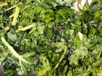 Texas organic panic kale glop