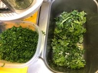 Texas organic panic kale glop