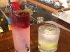 Skagway Distillery Rosehip Collins and Spruce Tip Gin and Tonic