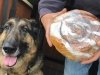 Braeburn Lodge Cinnamon Roll