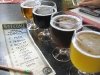 New Belgium Brewery Beer Tasting