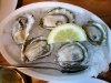 Fresh Humboldt Bay Kumumoto Oysters