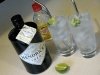 Hendricks Gin and Tonic with Key Lime