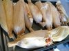Homemade Tamales in RV Pressure Cooker