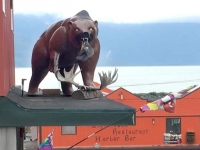 Bear on Roof in Haines Alaska