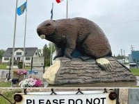 Giant Beaver