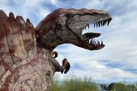 1_030626w_borreg-6274