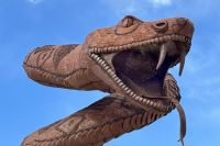 1_030626w_borreg-6344