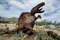 1_030626w_borrego-6277