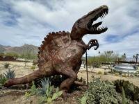 1_030626w_borrego-6277