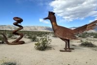 1_030726w_borreg-6338