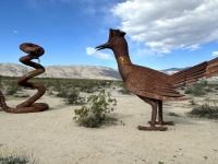 1_030726w_borreg-6338