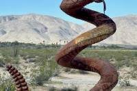 1_030726w_borreg-6340