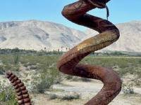 1_030726w_borreg-6340