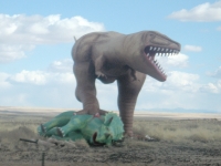 Dinosaurs Roam New Mexico