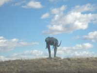 Dinosaurs Roam New Mexico