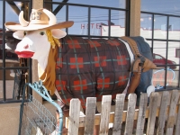 The welcoming cow of a shop in Fairplay, CO