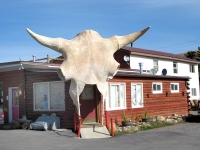 Dubois Laundry Cow Skull Entrance