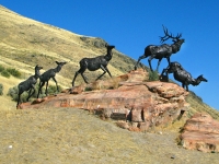 Jackson Wyoming National Museum of Wildlife Art