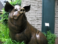Bronze Pig Sculpture Fredericksburg Texas