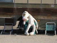 Slab City Panther No Longer Pink