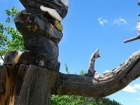Bald Eagle Chainsaw Carving Red Feather Lakes, CO