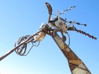 Terlingua Texas Ghost Town Junk Art Bug Sculpture