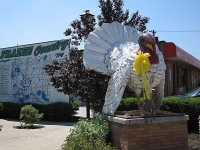 The Big Turkey in Frazee, MN