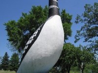 The big Loon at Long Lake, MN