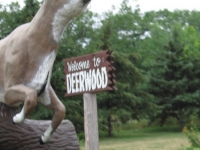Big Deer in Deerwod, WI