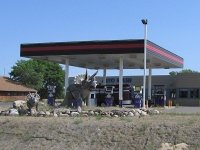 Wisconsin Fossil Fool Dinosaurs