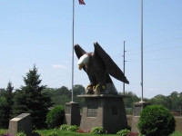 Big Eagle in Jim Falls, WI