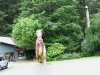 Dinosaurs along Highway 101 in Oregon