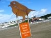 Snowy Plover Protection Sign Ocean Beach San Francisco CA