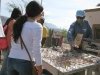 Tourists Shopping in Boquillas Mexico
