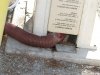 Nasty RV Park Sewer Connection